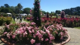  Victoria State Rose Garden Australia - Розовый сад штата Виктория Австралия 
