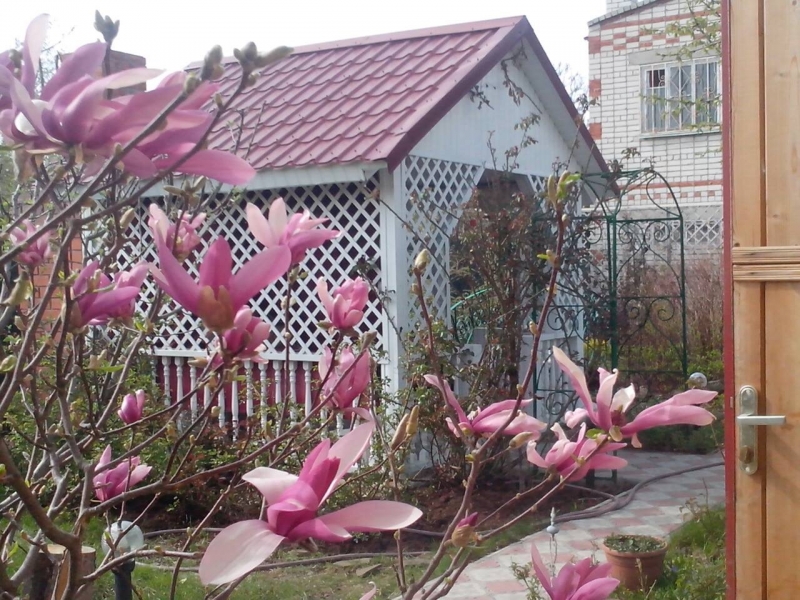 Дача Весной Фото