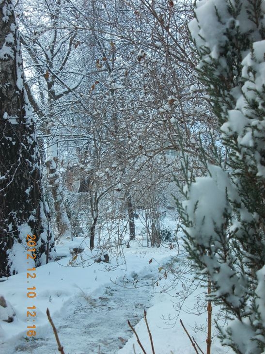 Фото Первых Дней Зимы