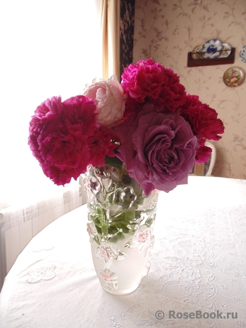 Галерея - COMPOSITION (Композиции из роз, с розами (букеты), розы в .