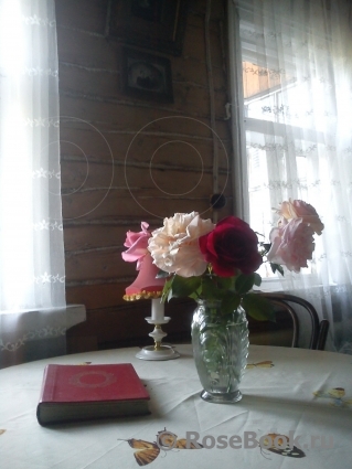 COMPOSITION COMPOSITION