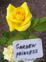 Garden Princess