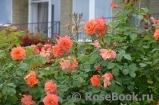 Westerland Westerland