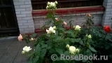 Maroussia!® Maroussia!®