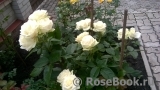 Maroussia!® Maroussia!®