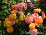 Gartenspass ® Gartenspass ®
