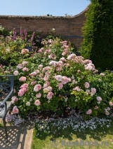 Elizabeth 2022 Elizabeth 2022