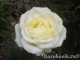 Maroussia!® Maroussia!®