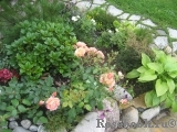 Bordure Abricot Bordure Abricot