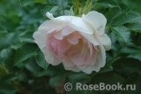 Ritausma Ritausma