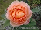 Lady of Shalott Lady of Shalott