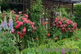 rosengarten rosengarten