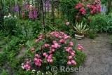 rosengarten rosengarten