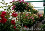 Giessen Giessen