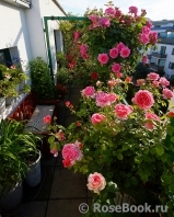 Giessen Giessen