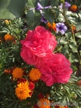 Nataly_76 Nataly_76