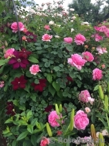 tatiana68 tatiana68