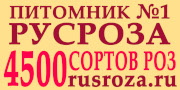 http://rusroza.ru/shop/