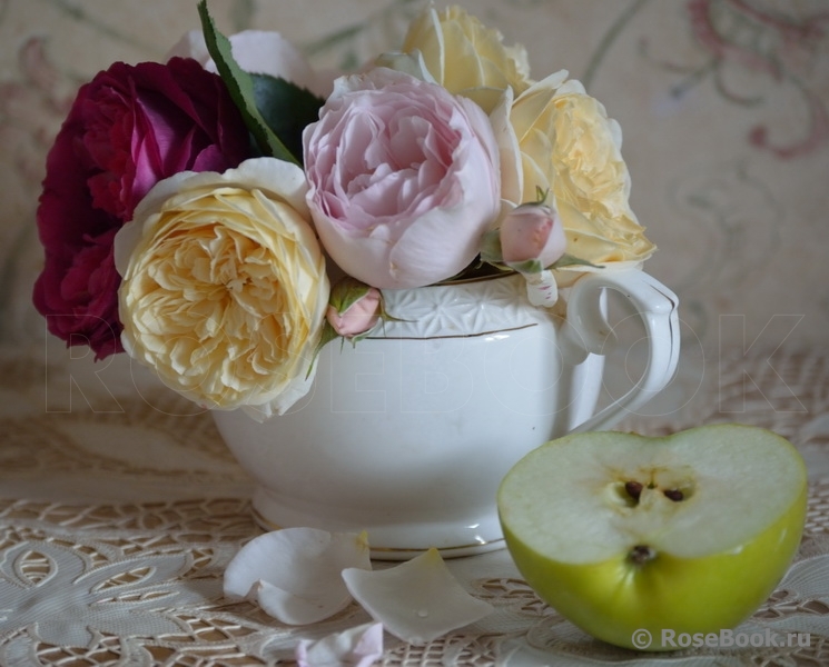 COMPOSITION
