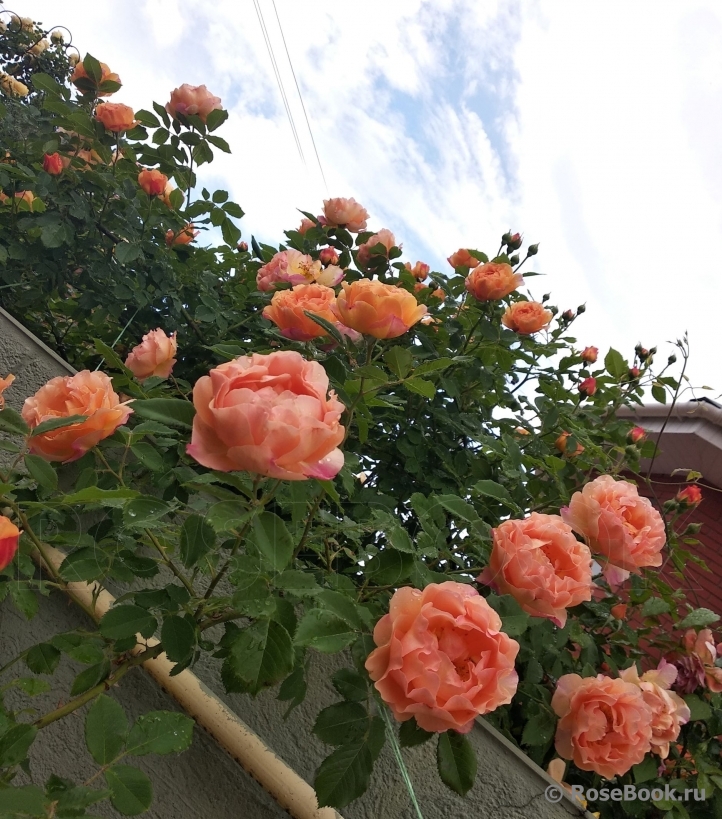 Sonnenwelt