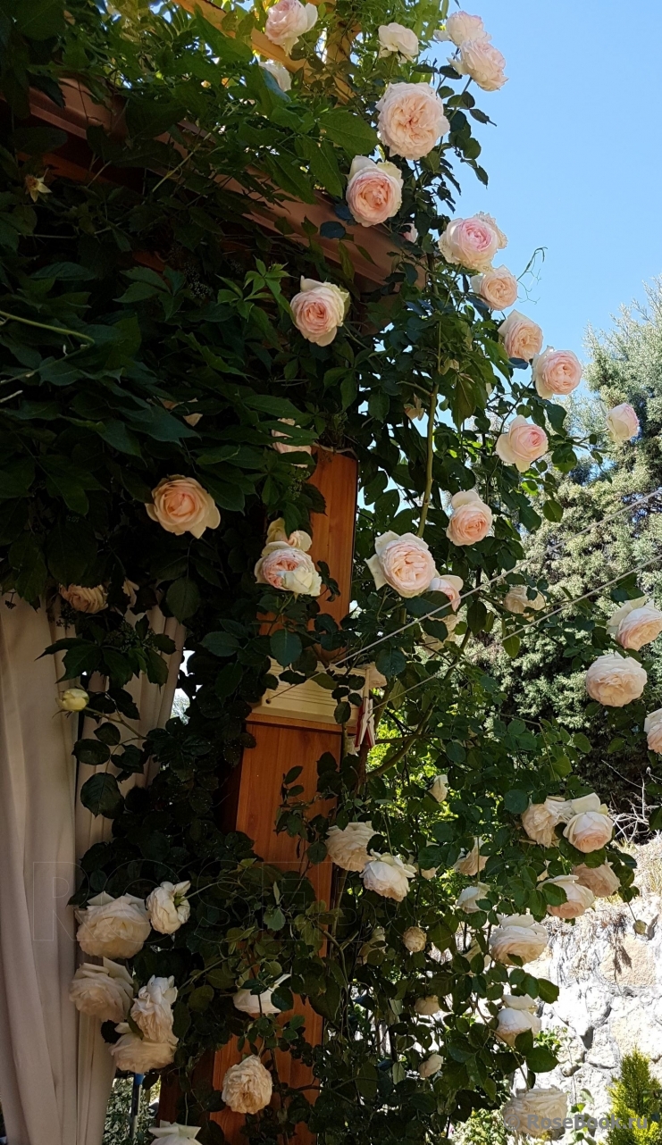 Mon Jardin et Ma Maison