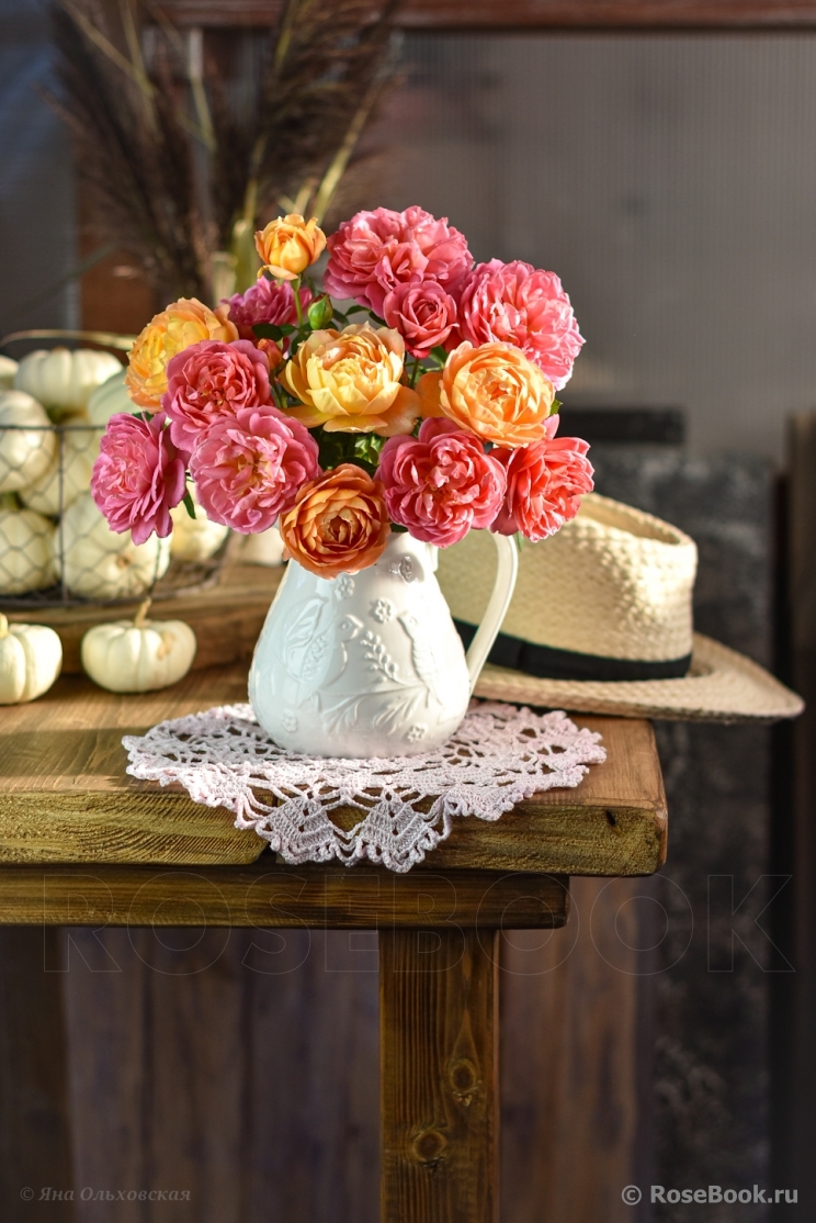 Pink Lady of Shalott