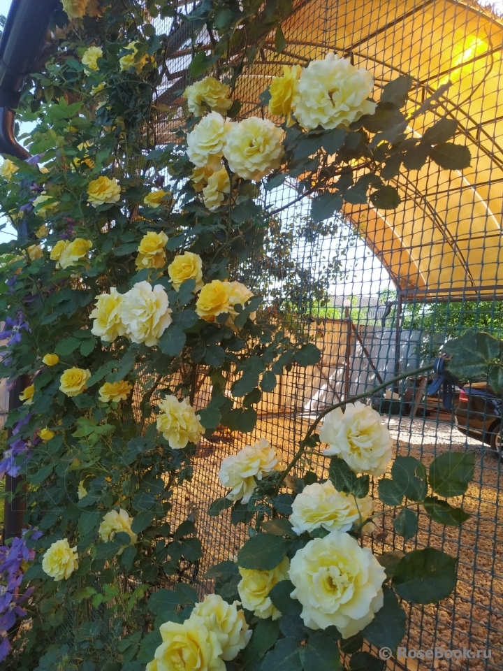 Rimosa Climbing