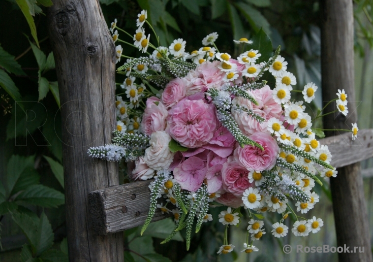 COMPOSITION