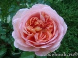 Abraham Darby