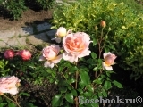 Abraham Darby