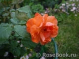 Westerland Westerland