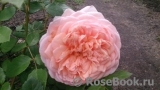 Abraham Darby Abraham Darby