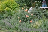 Lady of Shalott Lady of Shalott