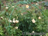 Crown Princess Margareta® Crown Princess Margareta®