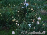 Abraham Darby Abraham Darby