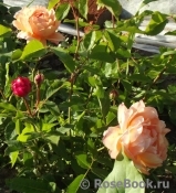 Sonnenwelt Sonnenwelt