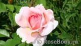 Abraham Darby Abraham Darby