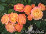 Gartenspass ® Gartenspass ®