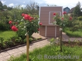 Rosarium Uetersen Rosarium Uetersen