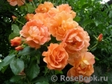 Westerland Westerland