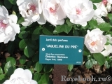 Jacqueline du Pre 