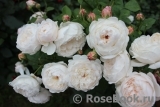 Glamis Castle® Glamis Castle®