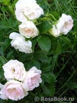 Ritausma Ritausma