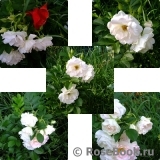 Ritausma Ritausma
