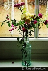 COMPOSITION COMPOSITION