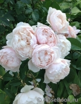 Generous Gardener, The Generous Gardener, The