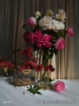 COMPOSITION COMPOSITION