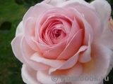 A Shropshire Lad A Shropshire Lad