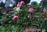 Gertrude Jekyll Gertrude Jekyll