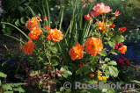Westerland Westerland